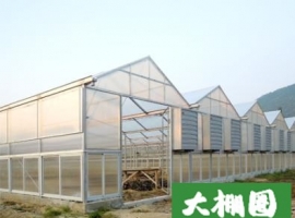 合水县蔬菜开发办公室钢架大棚 项目公开招标公告