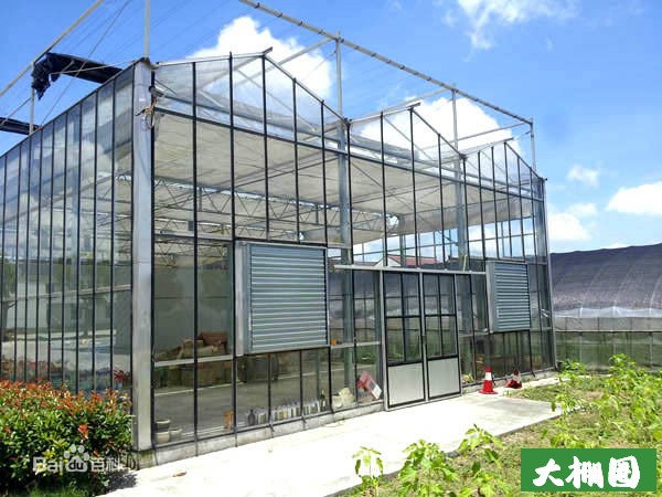 玻璃温室1.jpg