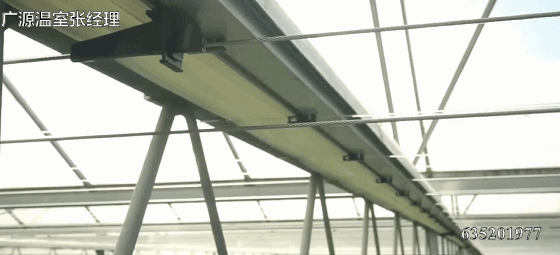 60d2b933d00c47108293c5029e9b4190.gif